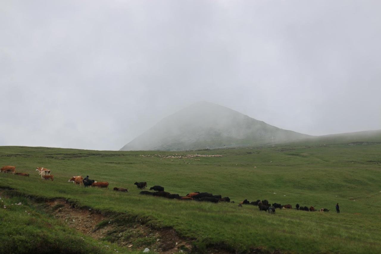 ראנקה Cabana Transalpina מראה חיצוני תמונה